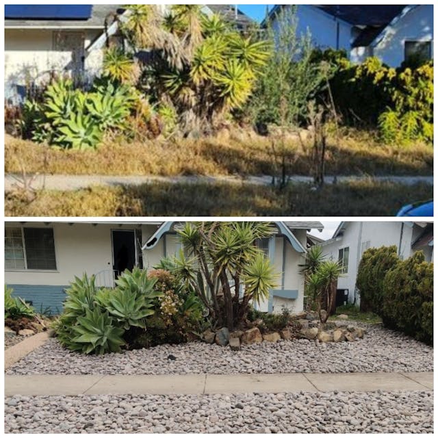 before and after photo of a garden project