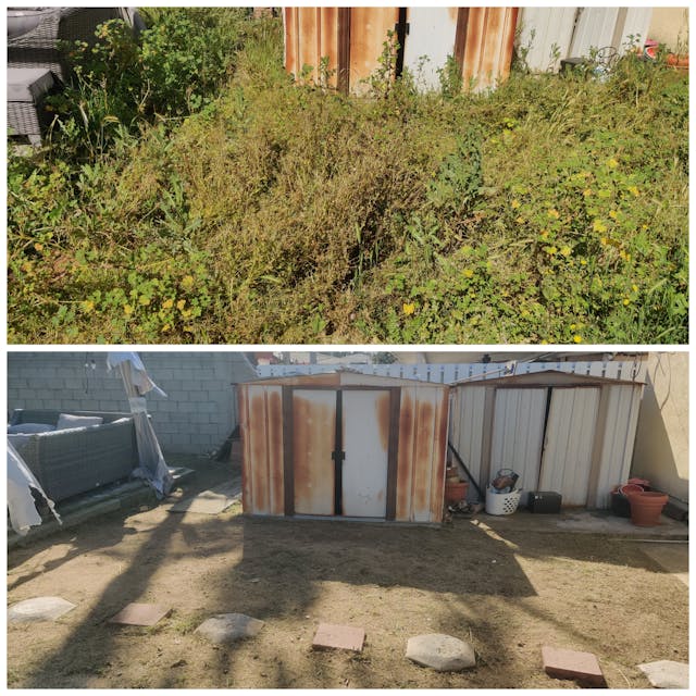 before and after picture of a yard and gardening cleanup project