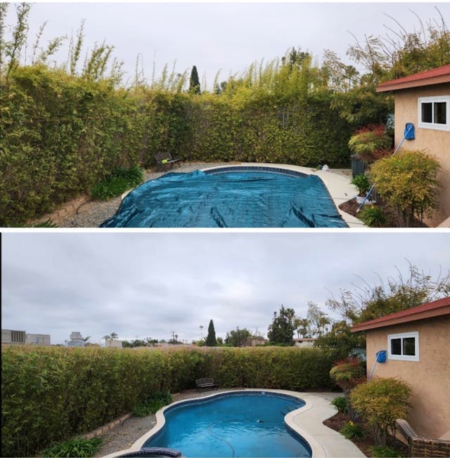 before and after photo of a gardening project that required bush trimming around a pool