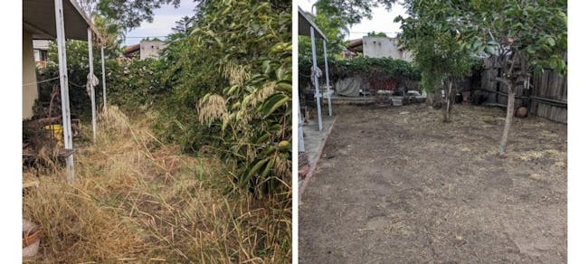 before and after photo of a yard cleanup project