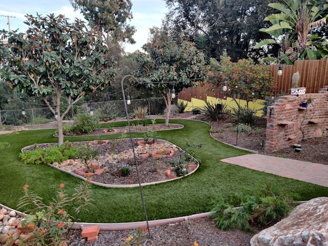 picture of a remodeled garden in San Diego with plants rocks and trees