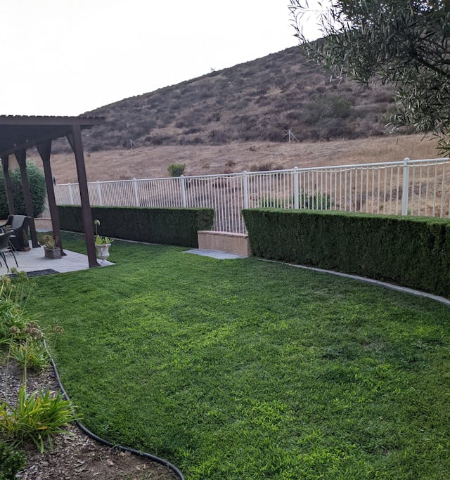 picture of a freshly remodeled backyard with new grass and brush