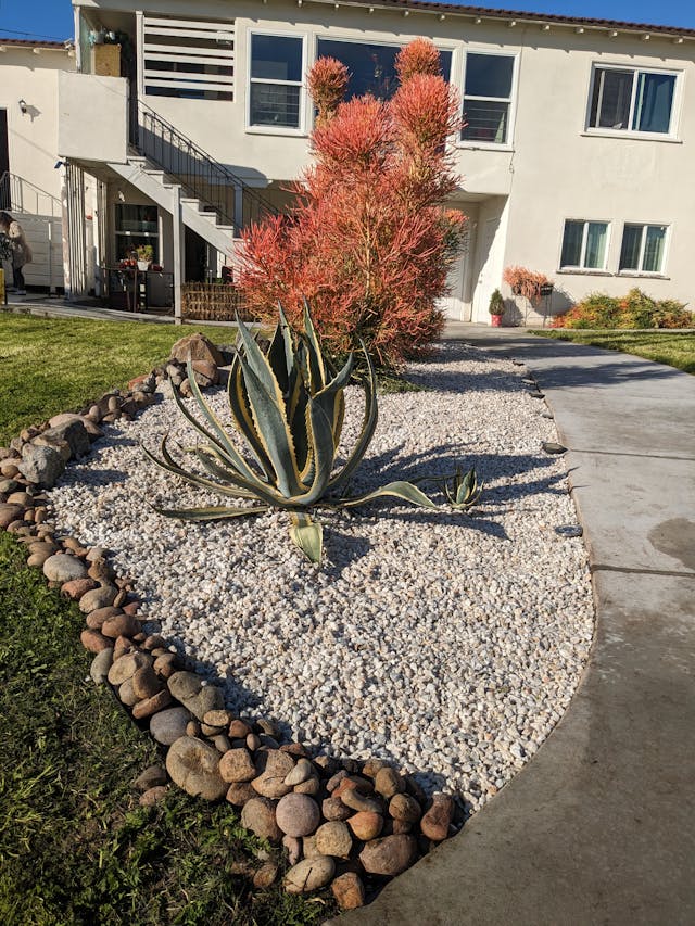 picture of a freshly landscaped front yard of an apartment complex