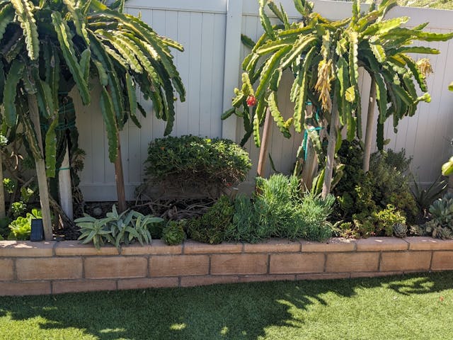 newly remodeled backyard featuring retainer with trees and brush