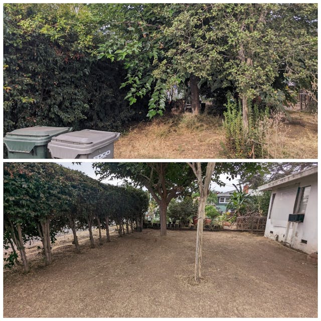 before and after picture of a messy backyard that is turned into a clean flat yard